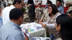 Inicia Segunda Jornada Nacional de Lucha contra el Dengue (5)