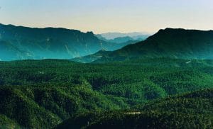Durango primera reserva forestal en el país (2)