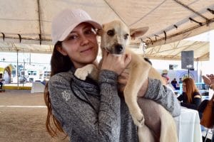 COMUNICADO FERIA DE ADOPCIONES 1