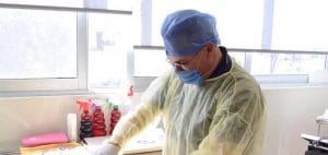 Esterilizacion de mascotas 2
