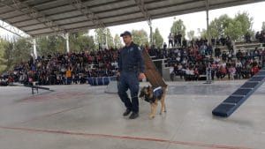 SSP Feria