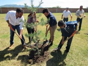 COMUNICADO REFORESTACIÓN DURANGO (1)