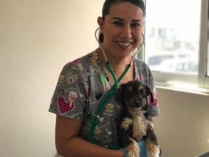Emite Salud Pública recomendaciones para adopción de mascotas
