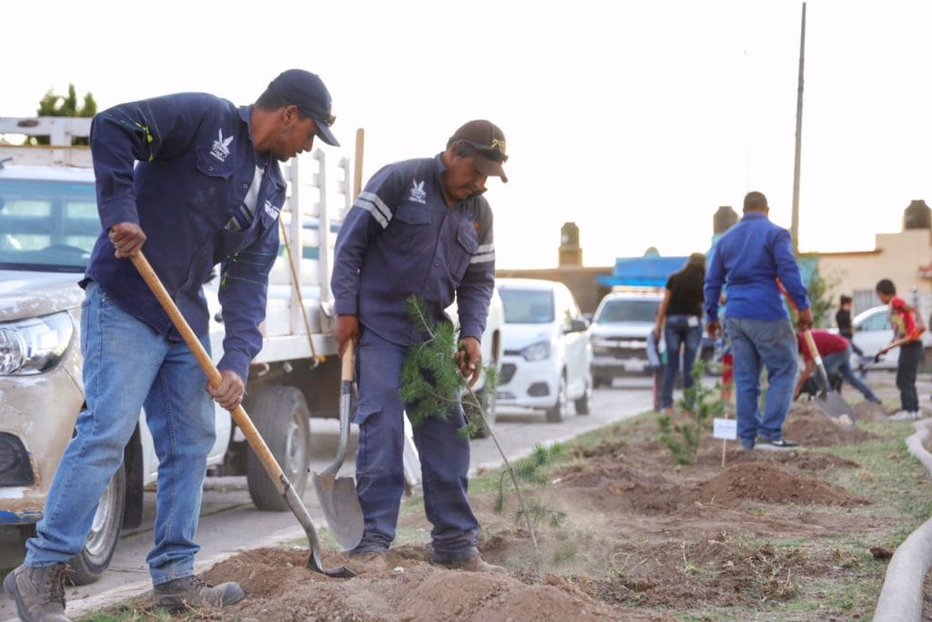 COMUNICADO MIS RAÍCES, MI FAMILIA 3