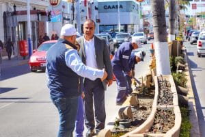 COMUNICADO REHABILITACIÓN 20 DE NOVIEMBRE 2 - copia