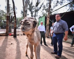 COMUNICADO ZOOLÓGICO SAHUATOBA MEJORA 6
