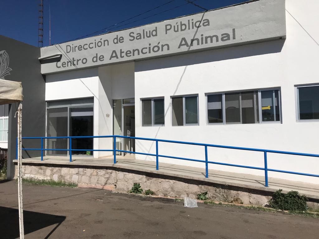 Continúa CAAN atención a mascotas; COVID-19 no las afecta