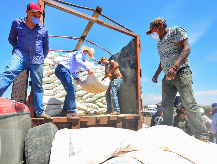 2. Entrega Aispuro alimento de ganado para 12,500 productores