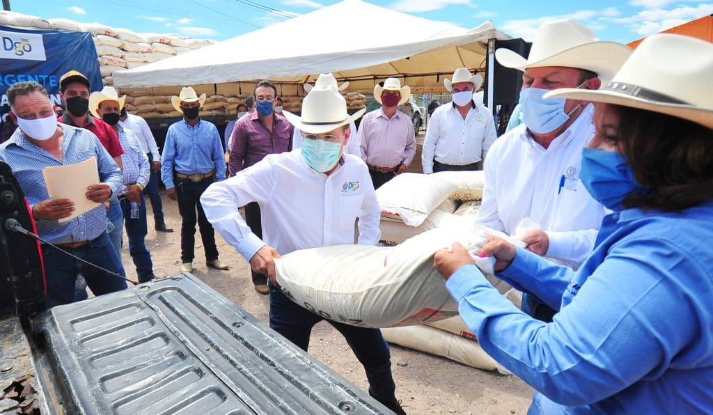 Esquema Emergente para ganado llega a 22 municipios (1)