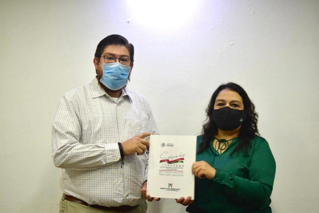INFORME DIPUTADA-48