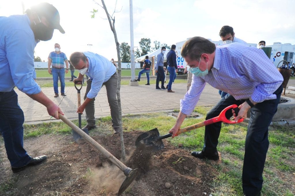 Vamos a reforestar Durango unidos