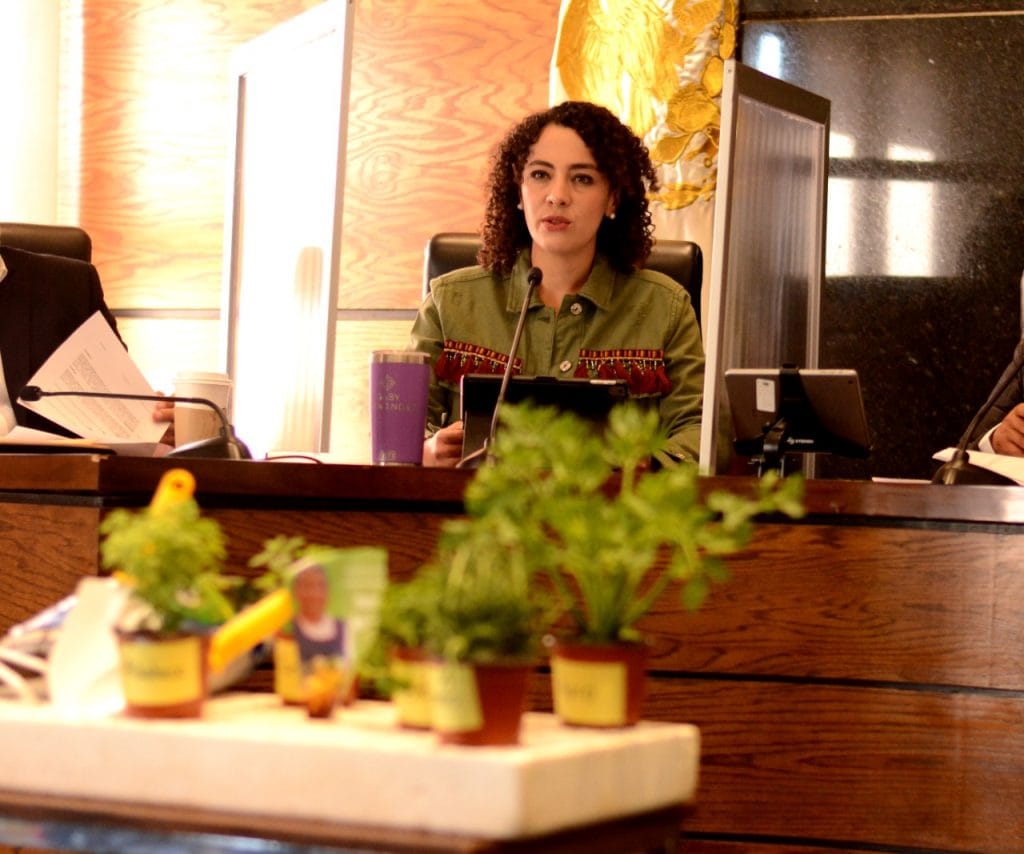 210129_Promueve Diputada