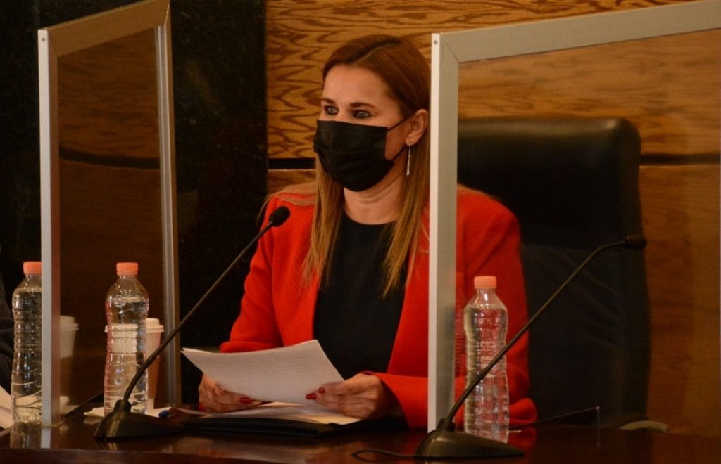 210210_Presenta Diputada iniciativa (1)