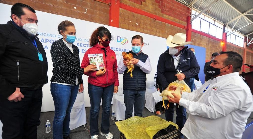 Seguro Catastrófico (5)
