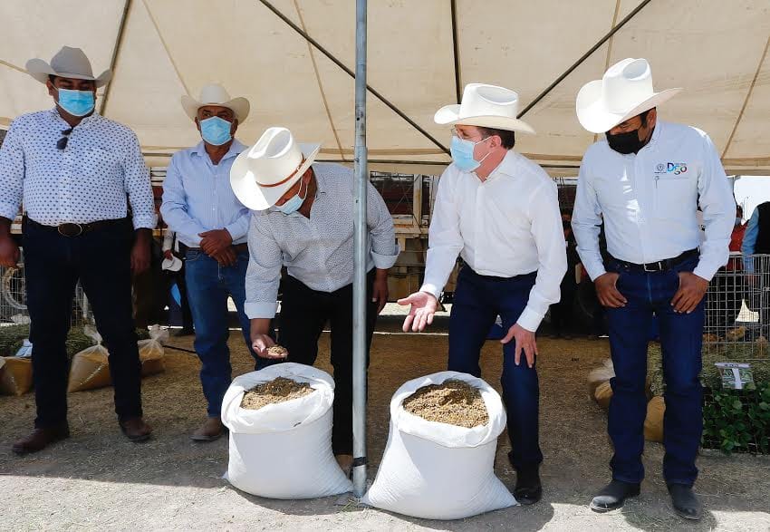 Se entregarán hasta 5 mil toneladas de suplemento alimenticio para ganado en todo el estado (2)
