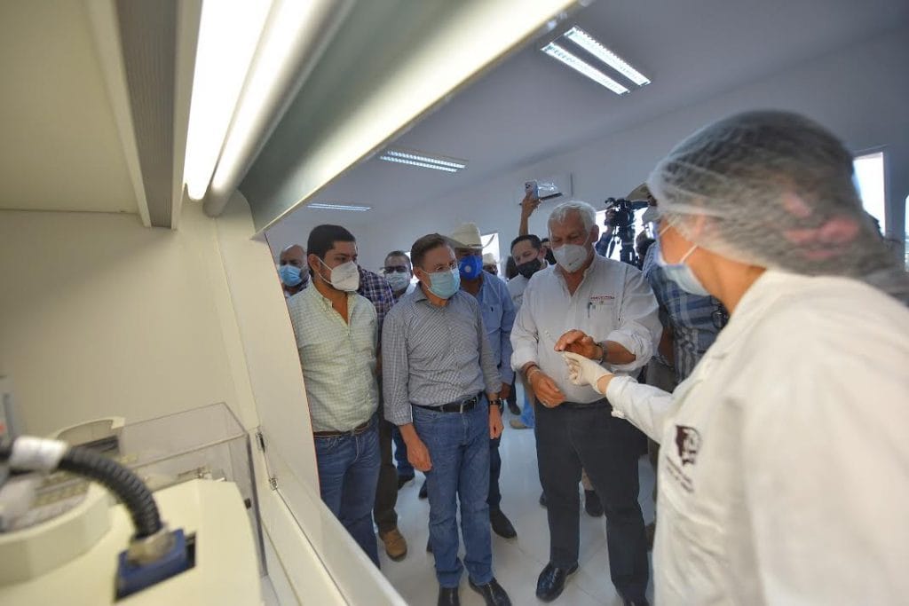 Mejoramiento Genetico 02