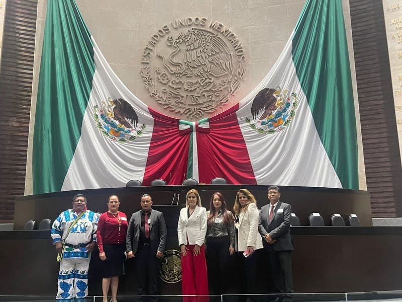 DIPUTADOS-MORENA-11-08-12-58-17
