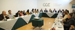 CCE07-33