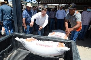 M...-Banderas_del_Aguila_Programa_Emergente_de