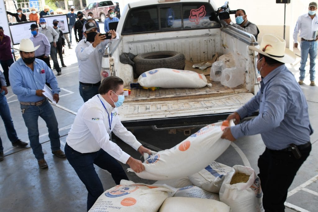 Suplemento-alimenticio-ganado-0064