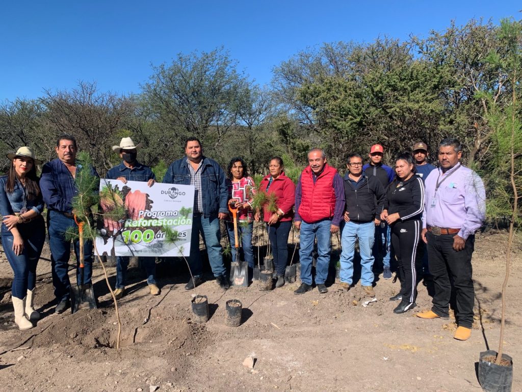 COMUNICADO-REFORESTACION-