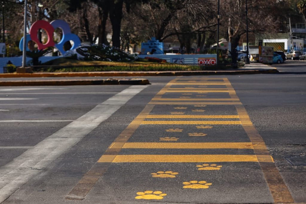 COMUNICADO SEGURIDAD PÚBLICA
