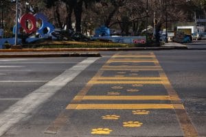 COMUNICADO SEGURIDAD PÚBLICA