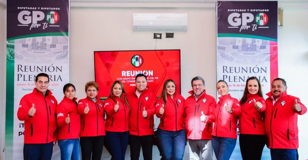PLENARIA PRI3