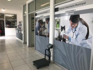 COMUNICADO SALUD