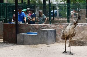 COMUNICADO ZOO