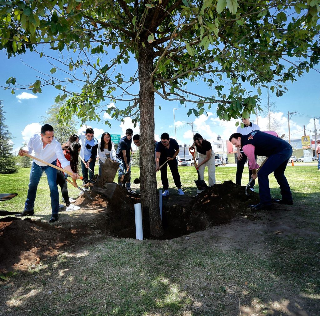 COMUNICADO 2 ÁRBOL (2)
