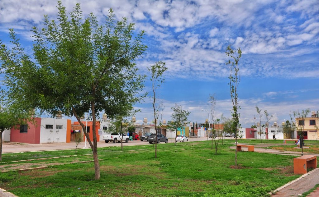 COMUNICADO MICROBOSQUES