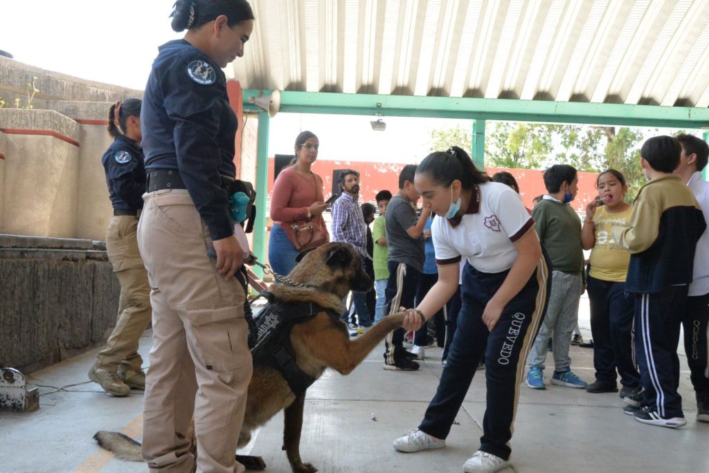 COMUNICADO PREVENCIÓN