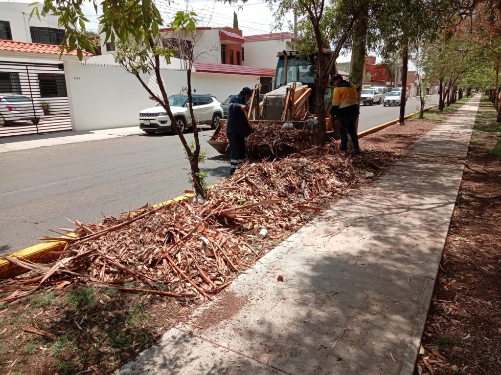 DURNGO LIMPIO Y ORDENADO (3)