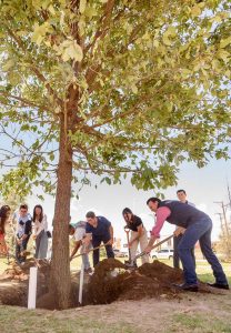 Gobierno de Esteban “Reforesta Durango” con prioridad a municipios afectados por incendios 2