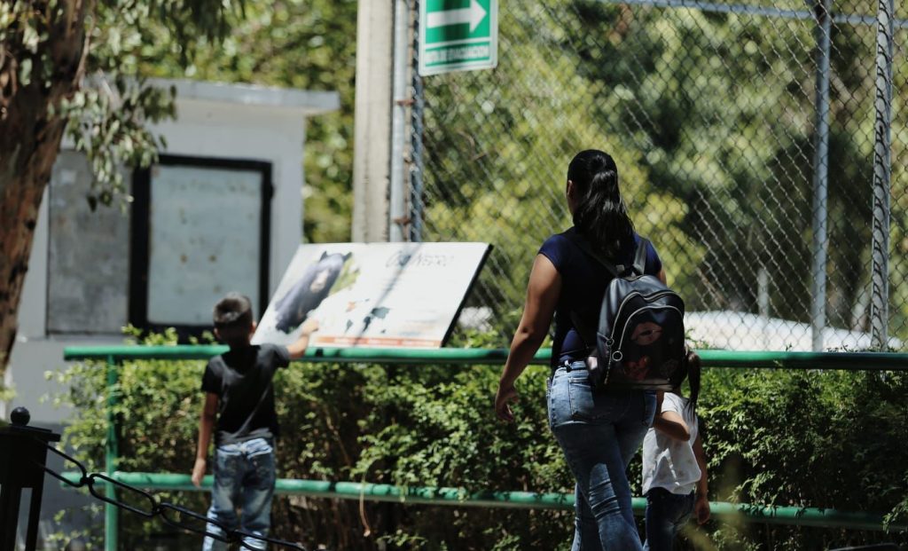 Mejoran calidad de vida de osos del Sahuatoba con nuevo entorno2