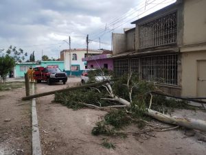 COMUNICADO PREVENCIÓN
