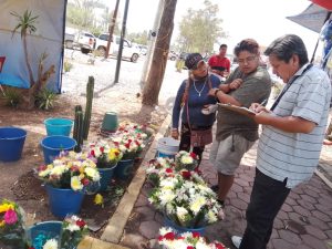 COMUNICADO INSPECTORES