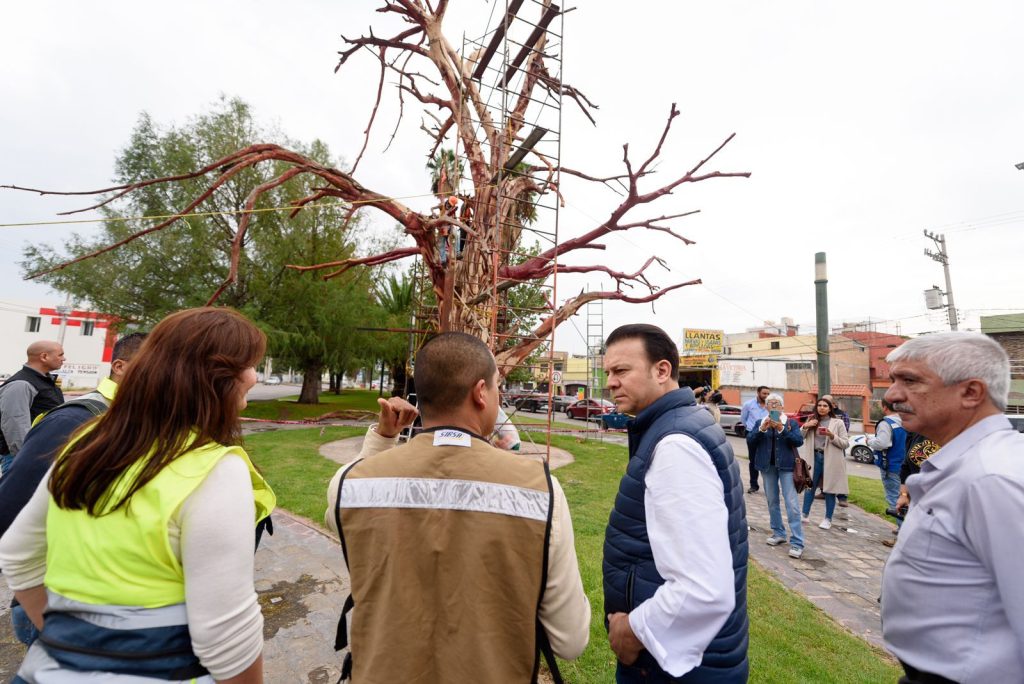 Tras varios años de olvido, reconstruye Esteban Fuentes Danzarinas y Árbol de la Vida1