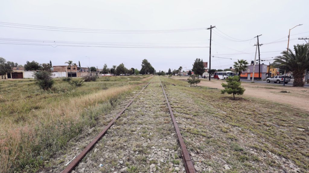 PARQUE LINEAL (3)
