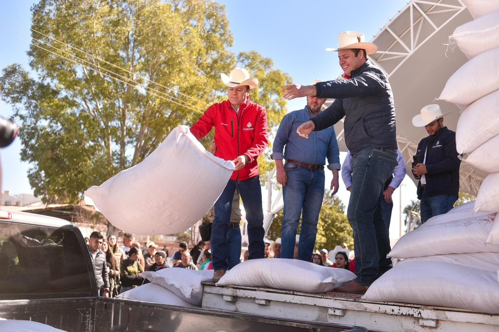 Llega a tiempo semilla de avena; productores reconocen respaldo de Esteban al campo2