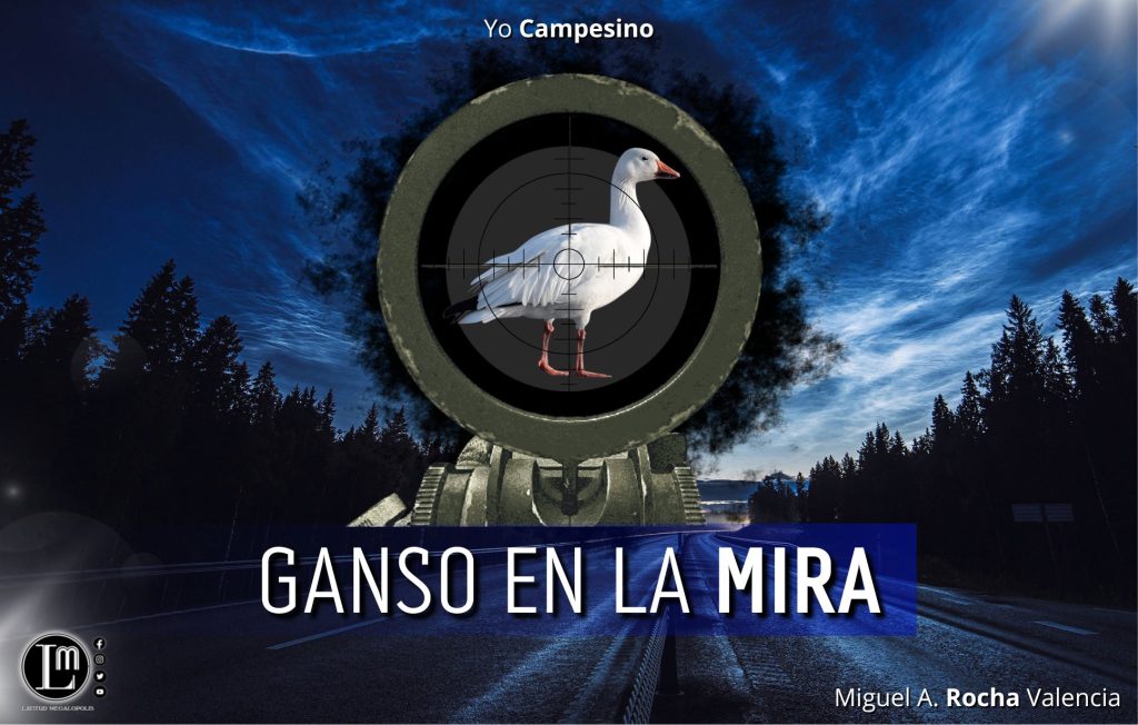GANSO-EN-LA-MIRA