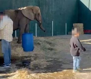 Annie está en un lugar totalmente inadecuado para su especie sin los alimentos y cuidados necesarios para su bienestar y óptimo desarrollo