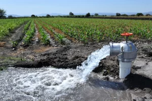 El principal consumidor de agua en México, es la agricultura.