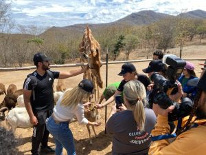 Zazueta hizo un llamado a la Semarnat a que deje de perseguir y amedrentar a los zoos