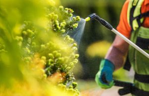 Los agroquímicos son herramientas que sirven para que la frontera agrícola no se expanda