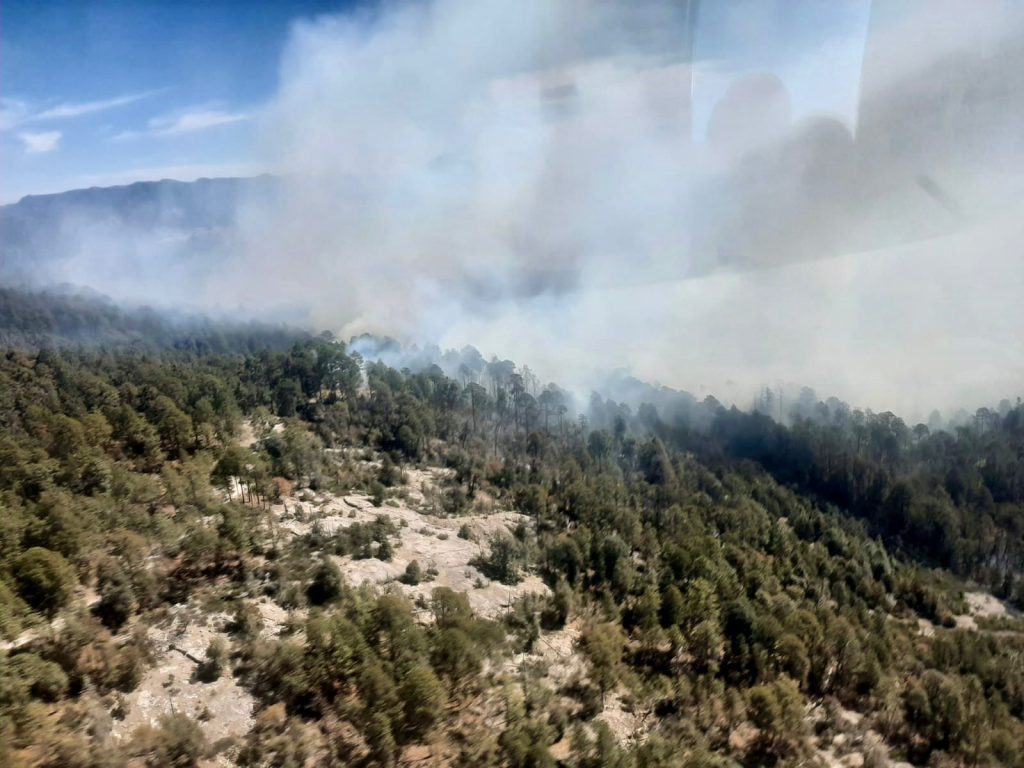 Controlados incendios forestales en San Dimas; se han sofocado en un 70 por ciento4