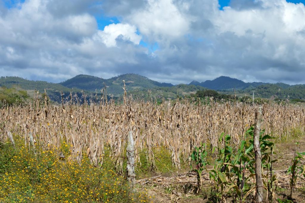 El problema del agua en el campo no es nuevo y es materia de estudio en cualquier parte del mundo
