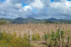 El problema del agua en el campo no es nuevo y es materia de estudio en cualquier parte del mundo