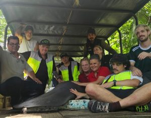 Después de la liberación los cuatro manatíes se reencontraron en la laguna y están desarrollando sus actividades juntos